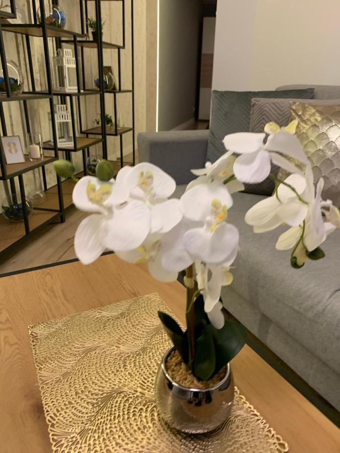 Moderno Apartament 크라쿠프 외부 사진
